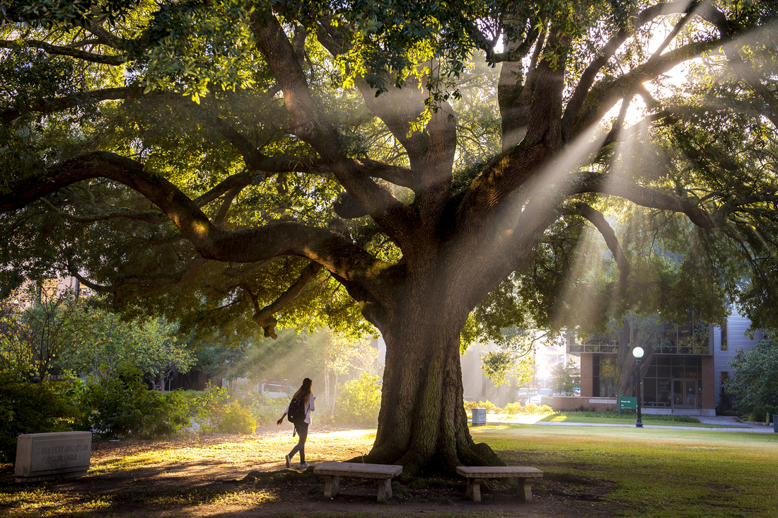 Campus OAK