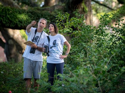 R Ribeiro and J Karubian